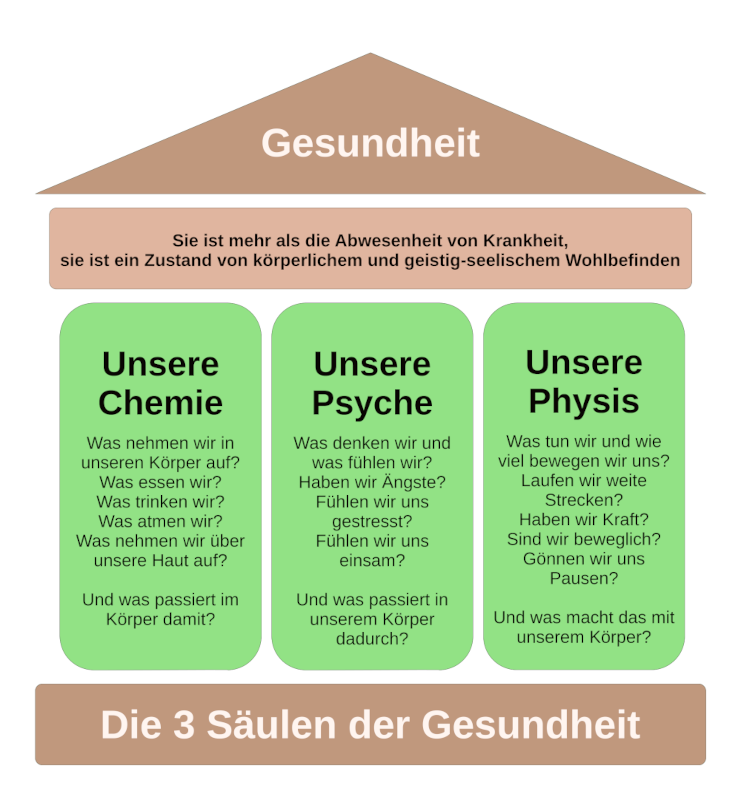 3 Säulen der Gesundheit